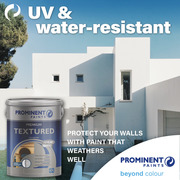 Prominent Paints: UV and Water-Resistant Paint
