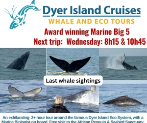 Next Dyer Island Marine Big 5 Tour: 28 June 2023