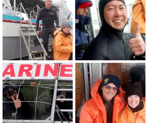 Daily Blog: 25 June 2023 | Shark Cage Diving in South Africa