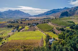 308.4-Hectare Fruit Farm for Sale in Villiersdorp: R16,000,000