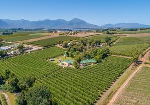 4.59-Hectare Fruit Farm for Sale in Villiersdorp: R10,900,000