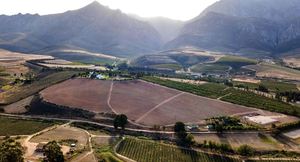 11-Hectare Fruit Farm for Sale in Villiersdorp: R9,450,000