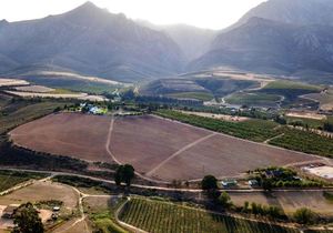 11-Hectare Fruit Farm for Sale in Villiersdorp: R9,450,000