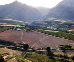 11-Hectare Fruit Farm for Sale in Villiersdorp: R9,450,000