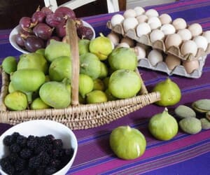 8.7-Hectare Mixed Use Farm for Sale in Villiersdorp: R8,500,000