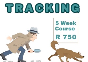 Dog Training Course: Tracking
