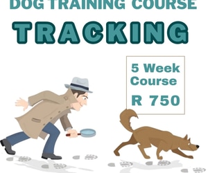 Dog Training Course: Tracking