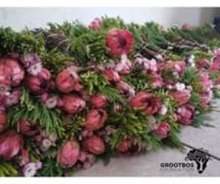 314405924_8508164812557009_6764202744381408131_n_1688465539