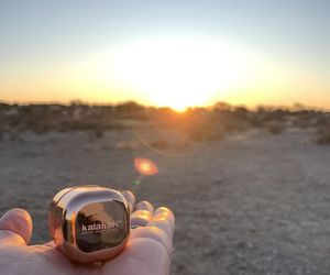 Kalahari Shea Butter Lip Balm