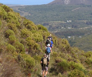 The Fynbos Trail: Premium Option