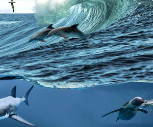 18 July 2023: Marine Evening