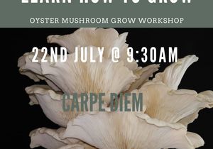 22 July 2023: Oyster Mushroom Grow Workshop