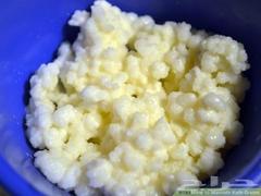 Milk Kefir Grains