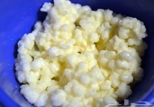 Milk Kefir Grains