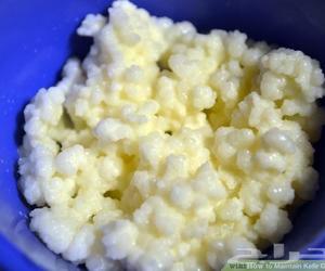 Milk Kefir Grains