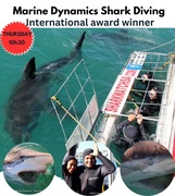 Next Marine Dynamics Shark Cage Diving Trip: 13 July 2023