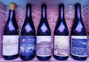 Now in Stock: Alheit!