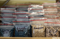 bredasdorp_home_and_garden_lifestyle_nursery_snail_pellets_small_bags_copy_1689665535