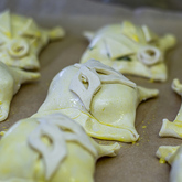 Pies - Broodstories - Xplorio™ Kleinmond