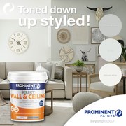 Select Wall and Ceiling Paint