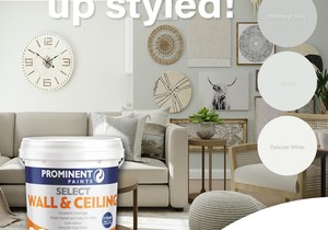Select Wall and Ceiling Paint