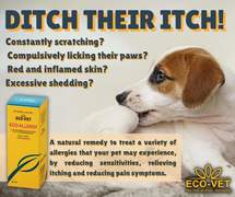 Eco-Vet Eco-Allergy
