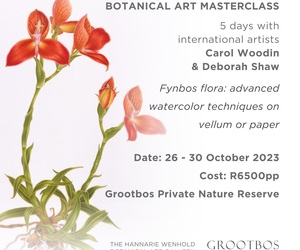 26 - 30 October 2023: Botanical Art Masterclass