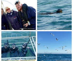 Daily Blog: 17 July 2023 | Shark Cage Diving in South Africa