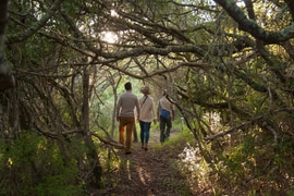 Wellness and Wellbeing Experience