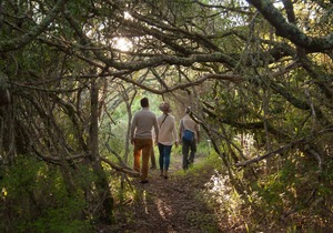 Wellness and Wellbeing Experience