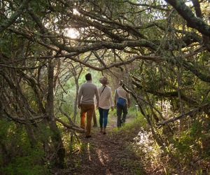 Wellness and Wellbeing Experience