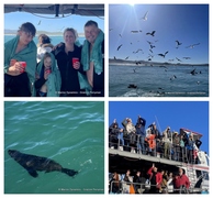 Daily Blog: 25 July 2023 | Shark Cage Diving in South Africa