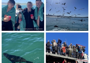 Daily Blog: 25 July 2023 | Shark Cage Diving in South Africa