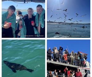 Daily Blog: 25 July 2023 | Shark Cage Diving in South Africa