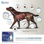 NexGard Tasty Chewables