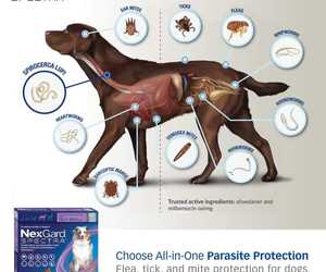 NexGard Tasty Chewables