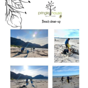 Beach Clean-up in Betty's Bay