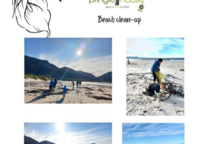 Beach Clean-up in Betty's Bay