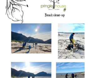 Beach Clean-up in Betty's Bay