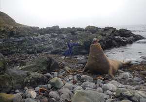 Marine Evening 8 August 2023