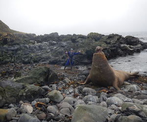 Marine Evening 8 August 2023