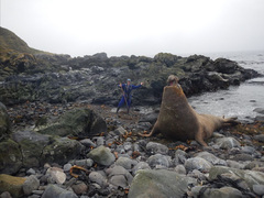 Marine Evening 8 August 2023