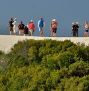 De Hoop Trail - Vlei to Whales