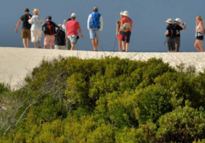 De Hoop Trail - Vlei to Whales