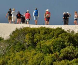 De Hoop Trail - Vlei to Whales