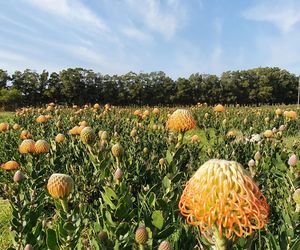 9 August 2023: Women’s Day Walk at Stanford Hills