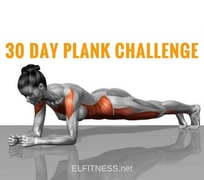 The 30-Day Plank Challenge