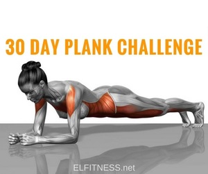 The 30-Day Plank Challenge