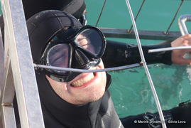 Next Marine Dynamics Shark Cage Diving Trip: 4 August 2023