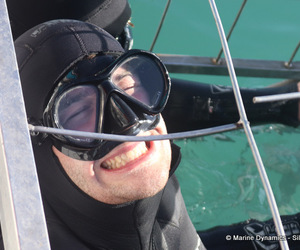 Next Marine Dynamics Shark Cage Diving Trip: 4 August 2023